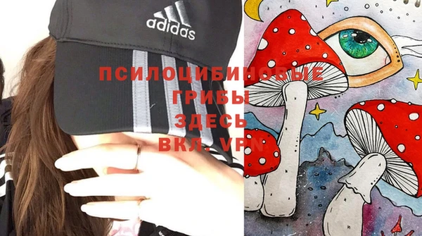 метадон Абинск