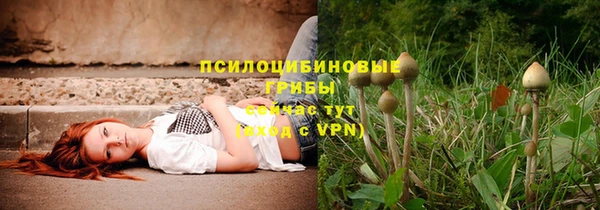 метадон Абинск