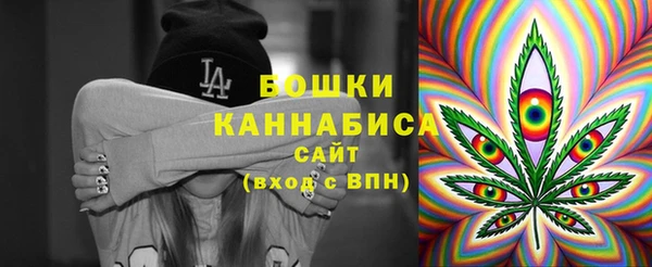 гидра Нязепетровск