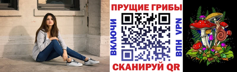 omg вход  Дальнереченск  Псилоцибиновые грибы мухоморы 